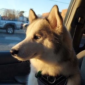 Meet your Posher, Maria